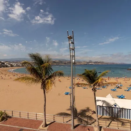 Palmas Livian Playa Canteras