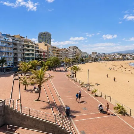 Guestready - Nuevos Livian Palmas *